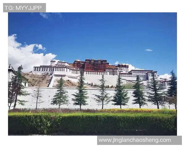 布莱克尼的魅力探秘：从历史遗迹到现代生活的完美融合