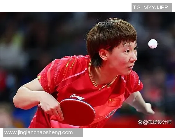 德国乒乓球联赛精彩回顾与未来展望：运动员表现与赛事影响分析