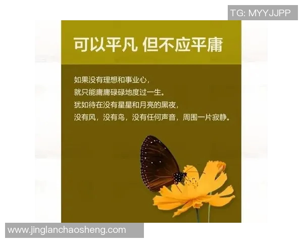 李晓旭的成长之路：从普通学生到职场精英的奋斗历程与心路历程