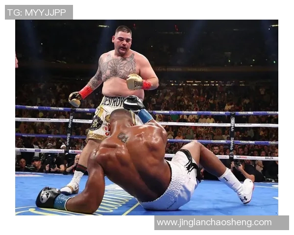 卡利杰与斯霍拉的巅峰对决谁将成为新一代拳坛霸主